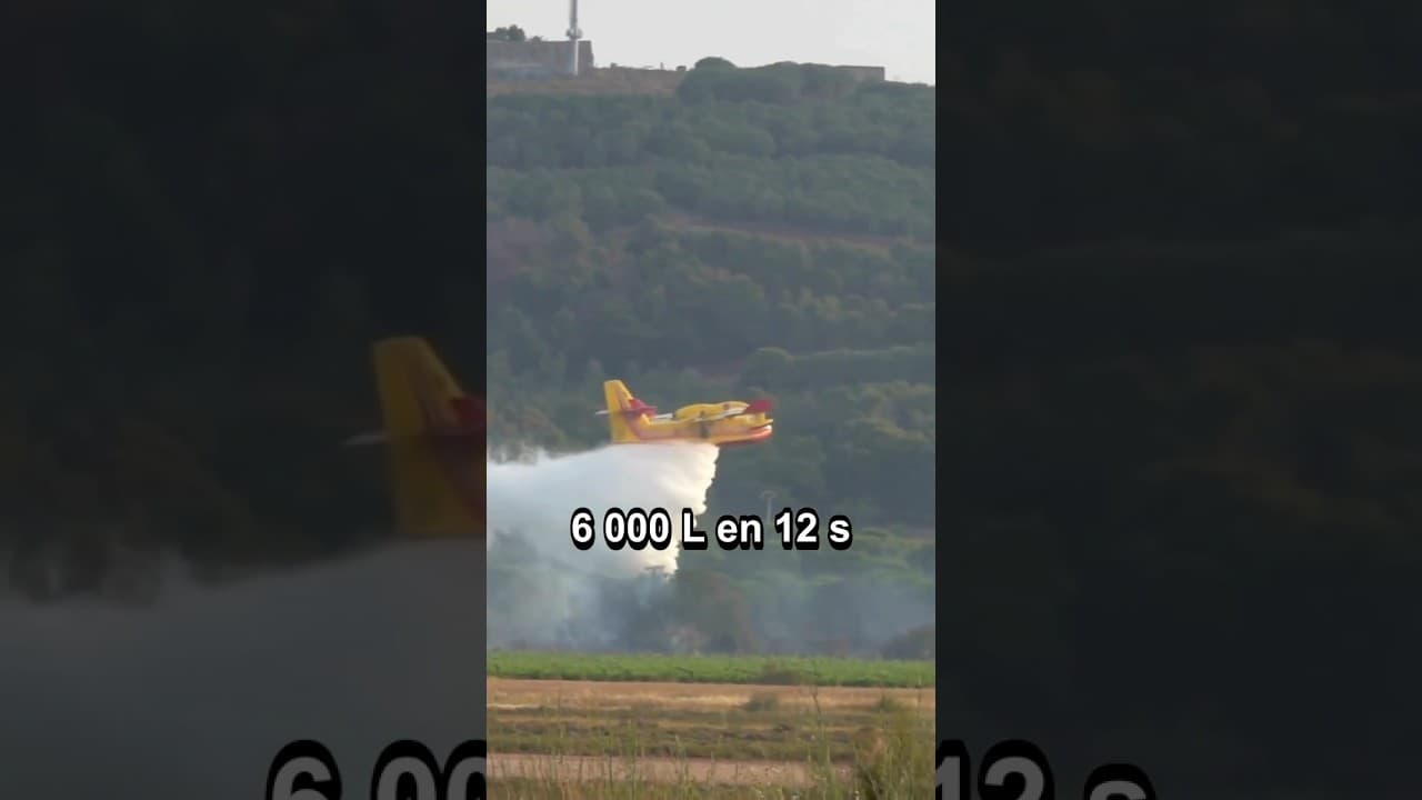 Culture & découvertes — 4 trucs fous sur les Canadairs et l'échec de la France #Canadair #capferret